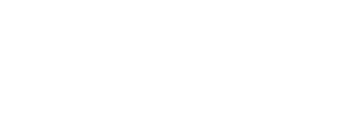 Elaborazione alternativa:                                                                      La Presidente del Cile, Michelle Bachelet, in visita di Stato in Italia   La Presidente cilena Michelle Bachelet nella sua  visita di Stato in Italia  stata accompagnata da una delegazione  comprendendente i Presidenti di Camera e Senato, un folto gruppo di Senatori e Deputati, il Presidente della Corte Suprema, imprenditori e leaders sindacali, il Ministro della Cultura, Paulina Urrutia, e i cineasti Silvio Caiozzi, Boris Quercia, Rodrigo Sepulveda e Luis Vera. Allincontro con il Presidente Giorgio Napolitano ha fatto seguito quello con il Presidente del Consiglio Romano Prodi, con il quale ha firmato una serie di accordi bilaterali di cooperazione scientifica, tecnologica e culturale, prima di inaugurare la III Conferenza Nazionale sullAmerica Latina Italia e America Latina: insieme verso il futuro. Dopo gli impegni capitolini, Michelle Bachelet si  recata a Siena per ricevere la Laurea honoris causa in medicina e chirurgia dallUniversit senese. In detta occasione abbiamo avuto il privilegio di un breve, ma fruttuoso, colloquio con la Presidente, particolarmente interessata alle nostre iniziative tese a rafforzare la cooperazione italo-andina, di cui ha tessuto gli elogi, ma anche spronandoci a continuare nel cammino intrapreso. Giorno 18 ottobre ha fatto rientro a Roma per incontrare Papa Benedetto XVI. La Presidente cilena ha pi volte sottolineato la crescente relazione fra Italia e Cile. LItalia  lottava nazione come investimenti in Cile (con 1 miliardo e 657 milioni di Dollari fra il 1974 e il 2006) e il secondo partner commerciale nellUnione Europea. Inoltre lItalia  il sesto Paese nella classifica delle esportazioni cilene.